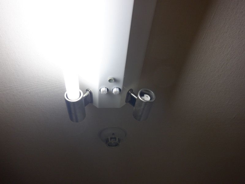 �䏊�Ɩ���LSD�Ɍ���
