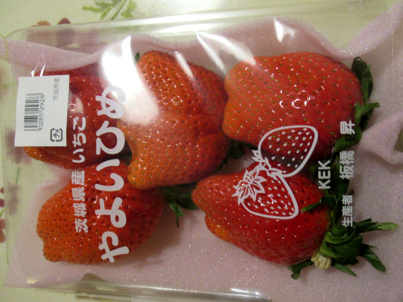 ��悢�P