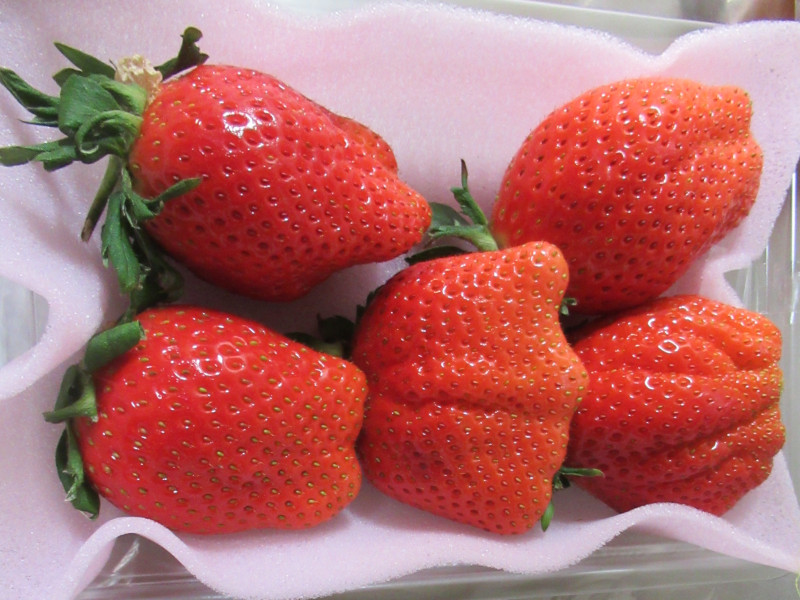 ��悢�P