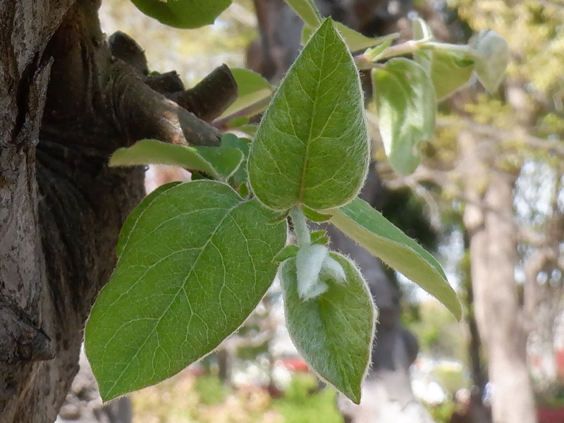 �J����