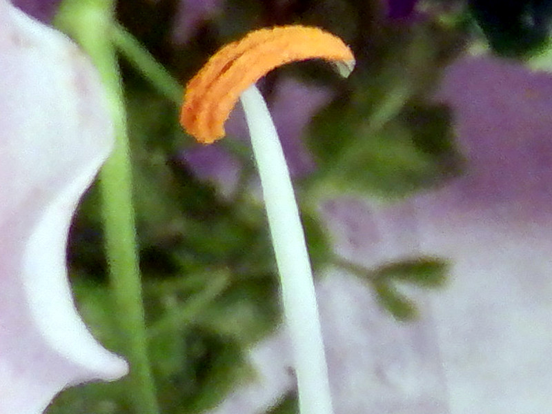 �Y����