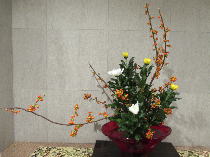 �c���E�����h�L�i���~�[�j