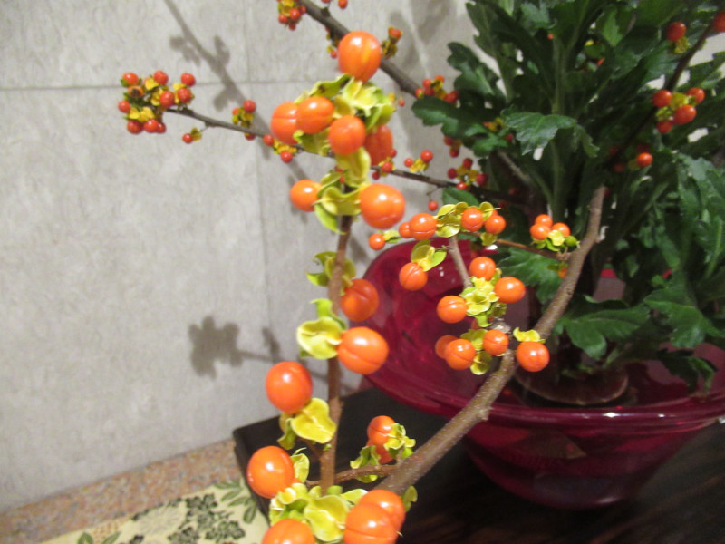 �c���E�����h�L�i���~�[�j