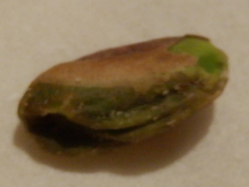 �s�X�^�`�I�ipistachio�j