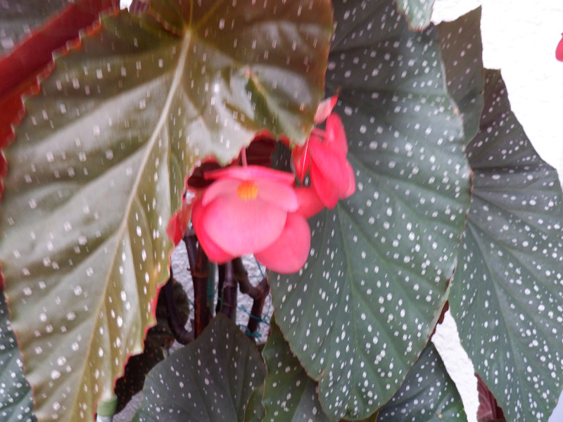 �x�S�j�A