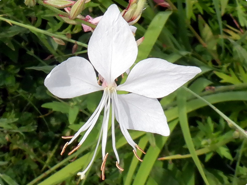 �K�E��