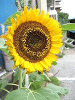 �q�}�����i�������j