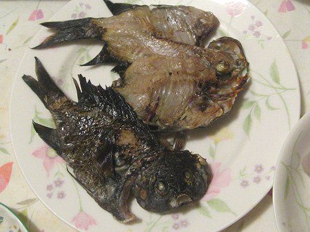 �郖��