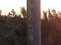 �郖��