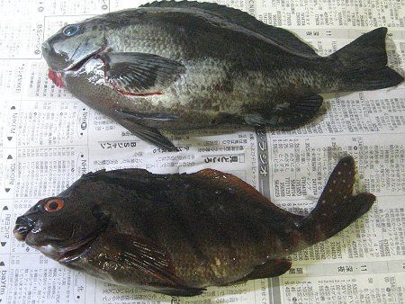�郖��-�C��