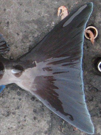 �j�U�_�C(�m����)