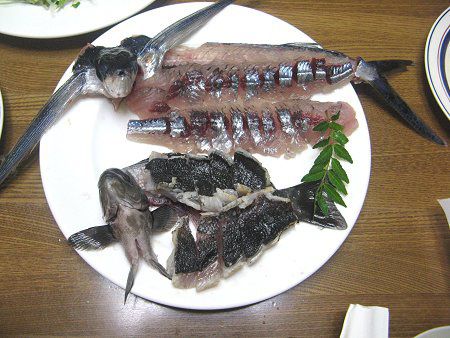 �މʒ���(2008�N5��31���A�郖��C��)