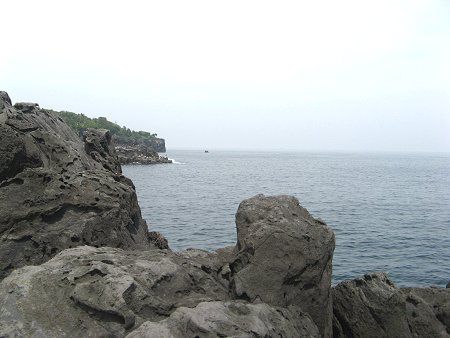 �Ȃ���(2008�N6��14��)