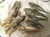 �މʂ̒�����Q