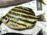 �郖��C��