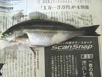 �郖��C��