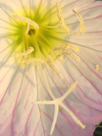 �q���U�L�c�L�~�\�E(���炫������)