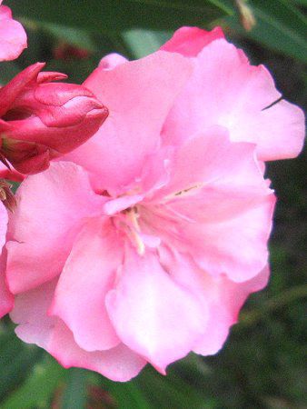 �L���E�`�N�g�E