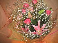 �S���ƃK�|�x�������S�̉ԑ�