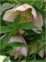 3���̉�#3(2002�N)