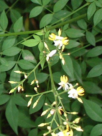 6���̉�#4(2002�N)