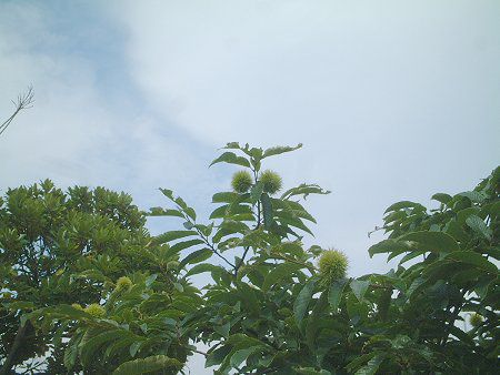 �N��(�I)