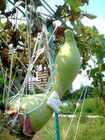 �q���E�^��(�Z�\)