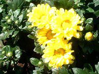 �|�b�g�}��