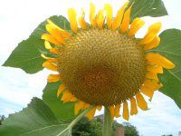 �q�}�����i�������j