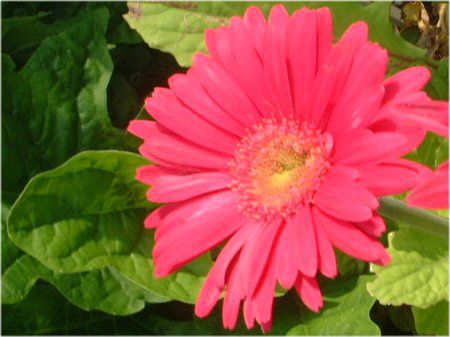 �K�[�x�����F�i��