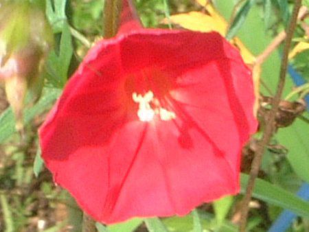 ���~�W���R�E(�g�t�~�g)