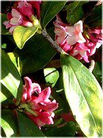 �W���`���E�Q