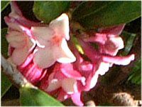 �W���`���E�Q