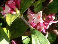 �W���`���E�Q