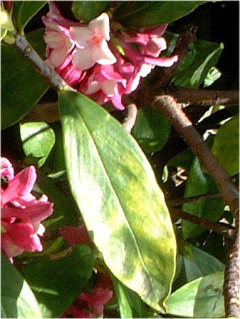 �W���`���E�Q