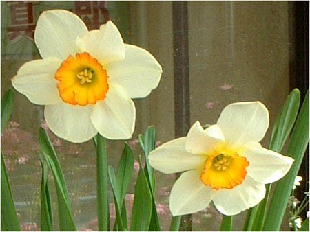 '�Z���}���Q���t(Selma Lagerlof
