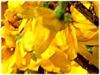 �����M���E(�A��)