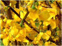 �����M���E(�A��)