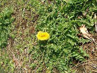 �J���g�E�^���|�|�i�֓������p�j��