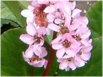 �q�}�������L�m�V�^