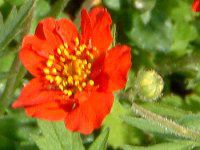 �Q�E��(Geum)