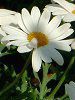�}�s��#c9e673