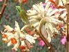 �~�c�}�^(�O��)