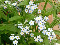 �Y��ȑ��i���i��j