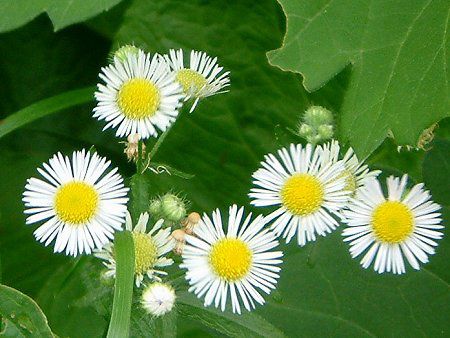 �q���W���I���i�P�����j