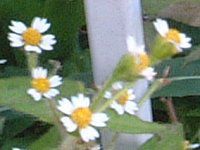 �n�L�_���M�N�i�|���e�j