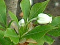 �h�E�_���c�c�W