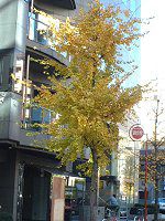 �C�`���E