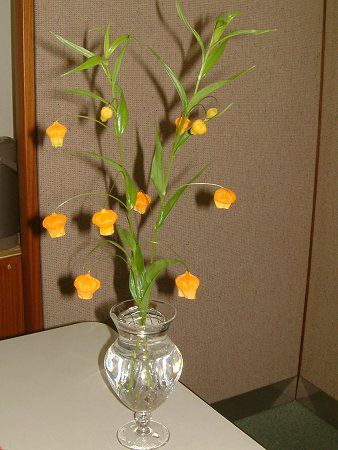 �T���_�[�\�j�A(Sandersonia aurantiaca)