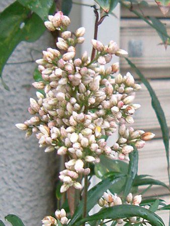 �i���e��(��V)